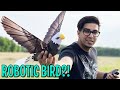 The Robot Bird?! - GoGo Robotic EAGLE - UNBOXING & LETS FLY!