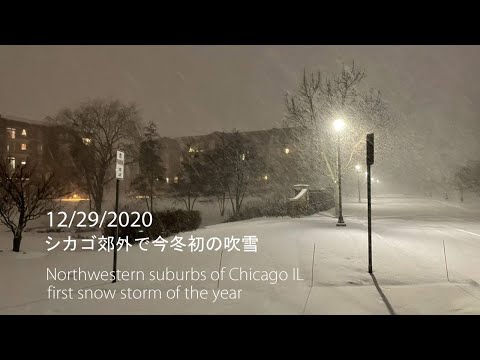 12-29-2020 シカゴ郊外の吹雪  Snow storm  Chicago suburbs
