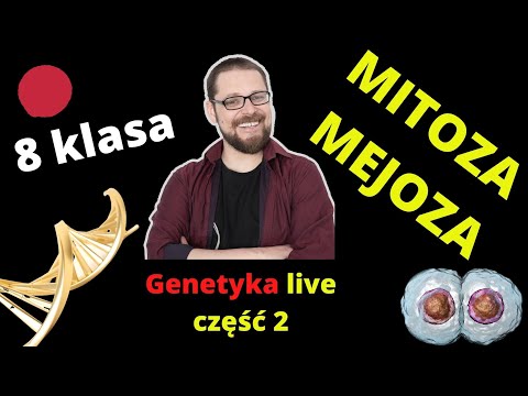 Mitoza i Mejoza na żywo! O podziałach komórkowych szybko i sprawnie i całkiem łatwo!