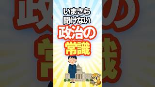 【常識シリーズ】いまさら聞けない政治の常識#shorts #社会人 #政治