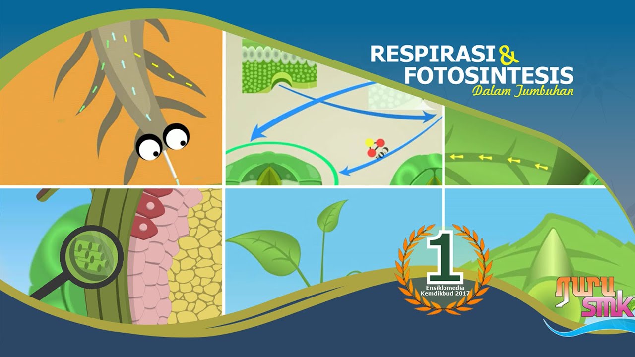 FULL ANIMASI : RESPIRASI DAN FOTOSINTESIS | Juara 1 Video Pembelajaran Ensiklomedia KEMENDIKBUD