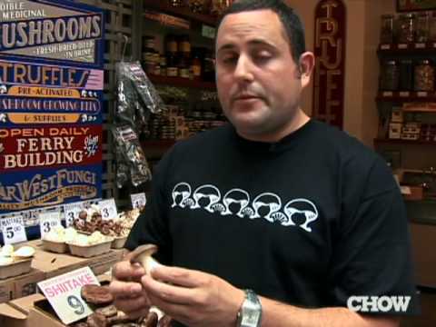 What are King Trumpet Mushrooms? - CHOW Tip