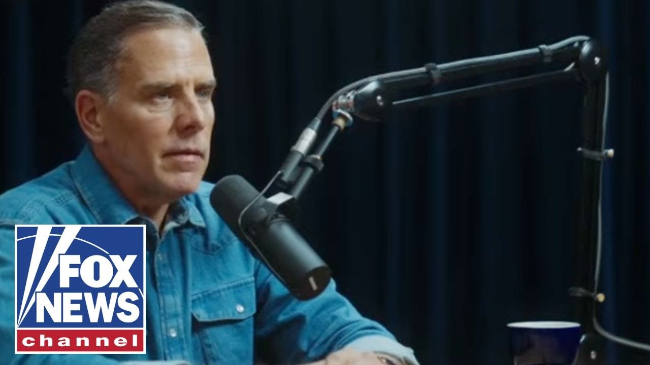 Hunter Biden is ‘applying the logic of his experience as a crack addict,' columnist says