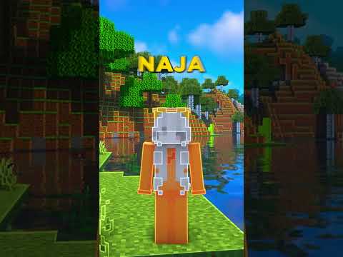 50.000 MINECRAFT SKINS FÜR BASTIGHG PALUTEN & DICH