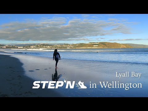 Stepn in Wellington | Lyall Bay