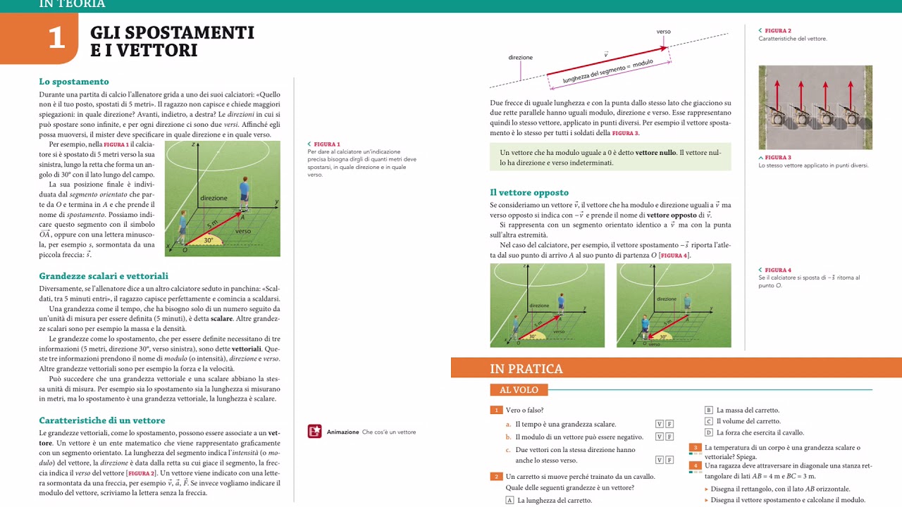 Vettori. Grandezze scalari e vettoriali