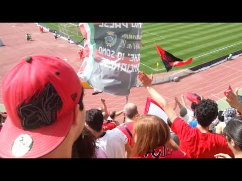 Bari - Virtus Lanciano post gol Amenta