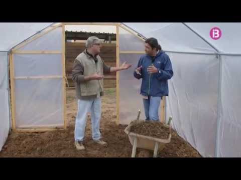 Preparar la terra per sembrar d'un hivernacle 1/2