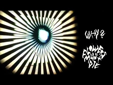 Flowers Must Die - Why?
