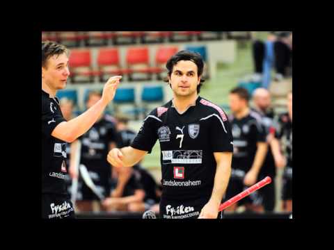 Landskrona Falcons A-Team säsongen 2010/11