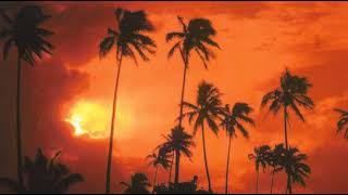 (VA) Destination Lounge - Bali - Antonio Pinto & Ed Côrtes - Amor De Verão (Remix)
