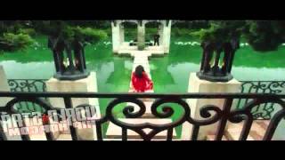 Birdman   Fire Flame OFFICIAL VIDEO