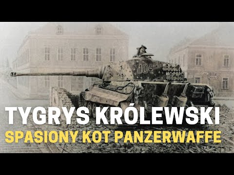 Tygrys Królewski - spasiony kot Panzerwaffe.
