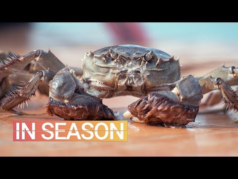 大閘蟹很好吃。那為什麼在美國吃不到呢？- 季節（S1E2 (Hairy Crabs Are Delicious. So Why Can’t You Get Them in the U.S.? - In Season (S1E2))