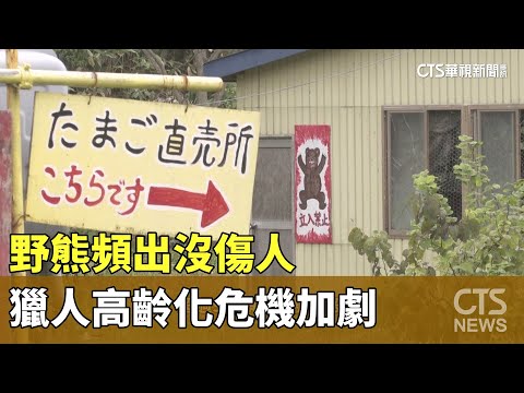 野熊頻出沒傷人　獵人高齡化危機加劇