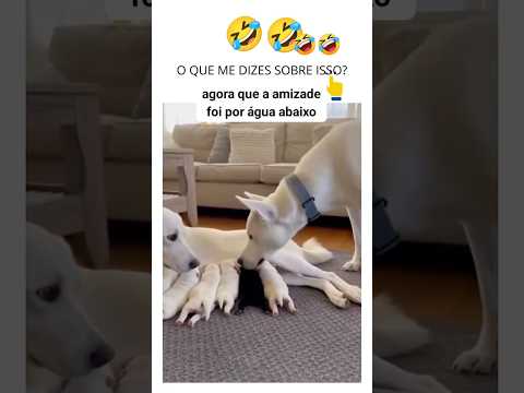 COMÉDIA EM FAMÍLIA #shrots #shortsviral #humor #foryou #comedyshorts #comedia #shorthumor #shorts