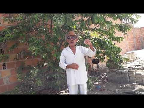 A história da enxada e a caneta, contada por seu Manuel!!