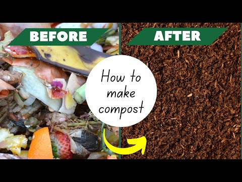 Beautification & Greening of schools in Kenya