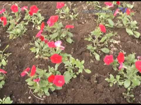 Лисаковск, выпуск программы «День» от 20 мая 2014 г.