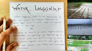 Irrigation- Water logging // Causes of Water logging // Effects // Measures to prevent Water logging