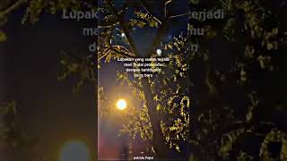 Download lagu STORY WA 30 DETIK || STORY WA KEREN || STORY WHATSAPP mp3