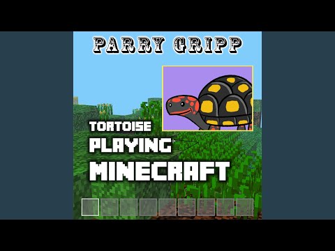Tortoise Playing Minecraft