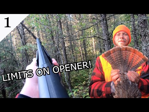 Opening Day GROUSE HUNTING on a FROSTY Morning!!! (LIMITED OUT!)