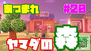 【生放送】あつまれヤマダの森！？ヤマダの無人島借金返済生活！【#20】