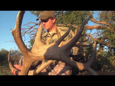 Jim Shockey's Argentina free range Red Stag hunting at Poitahue Ranch. La Pampa, Argentina.