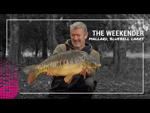 The Weekender | Episode Three | Mallard, Bluebell Lakes | Steve Renyard