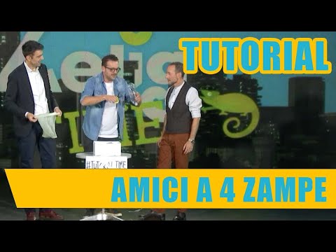 Cosa fare per i tuoi cuccioli - Tutorial | Vincenzo Albano | Zelig Time 2018 (pt 16)