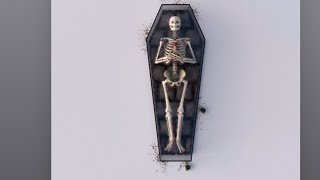 Cover art for Happy ever after