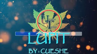 Lupit - Cueshe | Official Karaoke Video