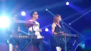 The Rentals - Traces of Our Tears(new song, live)