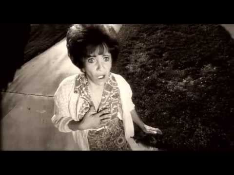 Fettes Brot - Silberfische in meinem Bett (Official)