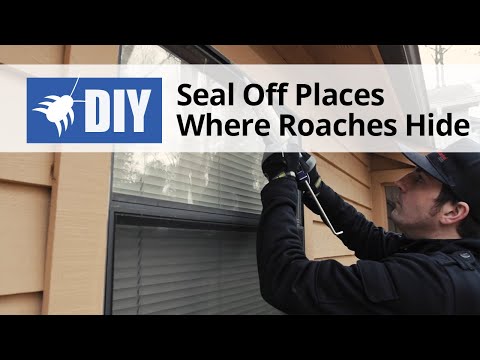  Seal off Places Where Roaches Hide Video 