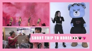 Download lagu Beby Vlog #77 - KE KOREA NONTON BLACKPINK & MAIN SAMA KRUNK!!!🙈 mp3 Download lagu Beby Vlog #77 - KE KOREA NONTON BLACKPINK & MAIN SAMA KRUNK!!!🙈 mp3