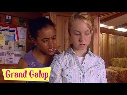 Grand Galop - Épisodes 19 à 22 Compilation | Grand Galop Saison 2
