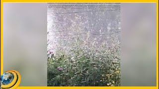 Ուժեղ կարկուտ՝ Արտաշատում