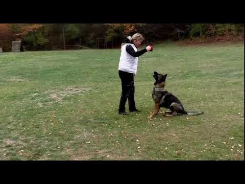 Ronna z Vodnanske doliny