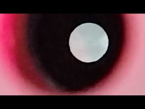 анамалия scp-1326