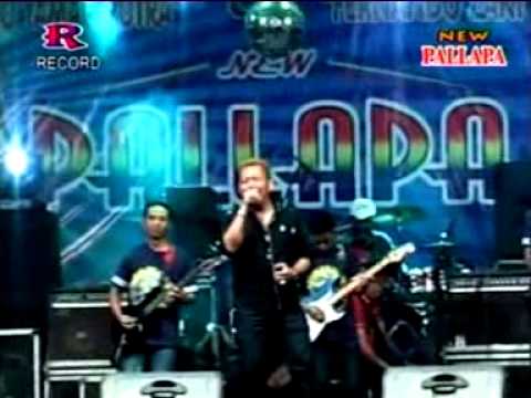 Yang Mr Bambang New Pallapa Live Sumberame Wringinanom Gresik 2015