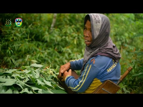 FILM PENDEK JAGA DESA NGLEGOK DESA SEMBOWO KEC SUDIMORO KAB  PACITAN