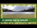It geheim fan De Deelen