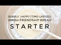 Amish Friendship Bread Starter Not Bubbling Free Download Youtube Mp3
and Mp4