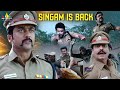 Singam Is Back Suriya Takes Charge As DSP Singam Telugu Movie Scenes SriBalajiClips