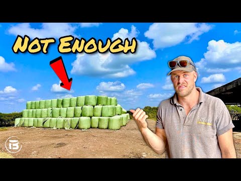 We’re WAY Short of Winter Forage - What Now? | Here’s The Plan.