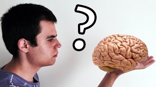 ¿Qué pasaría si usáramos el 100% de nuestro cerebro?