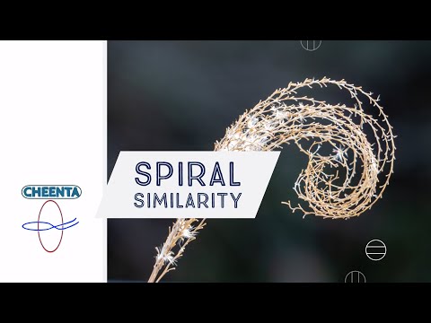 Spiral Similarity