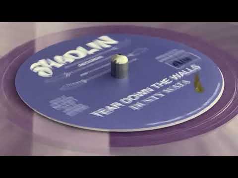 DUSTY WATA ~ Tear Down The Wall